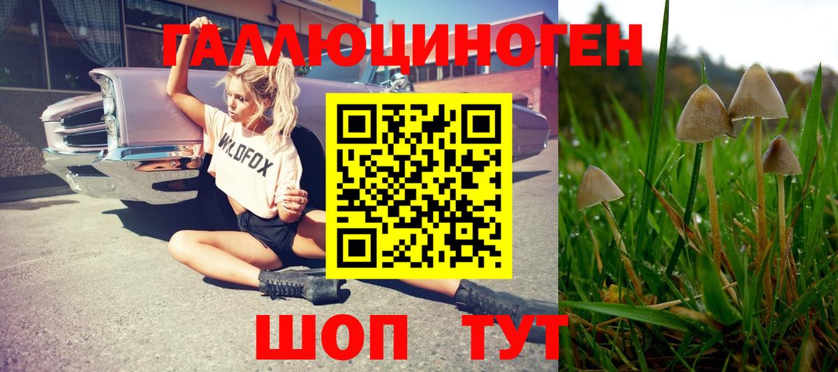 Псилоцибиновые грибы Magic Shrooms  Вход с VPN  Карпинск 